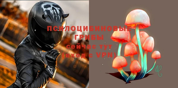 а пвп мука Алзамай
