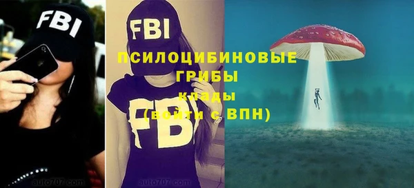 амф Абаза