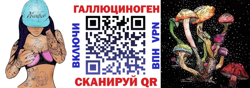 Псилоцибиновые грибы Cubensis  купить наркотик  гидра онион  Вышний Волочёк 